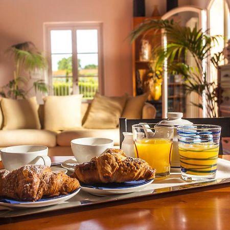 Cascina Canova B&B San Giuliano Terme Kültér fotó