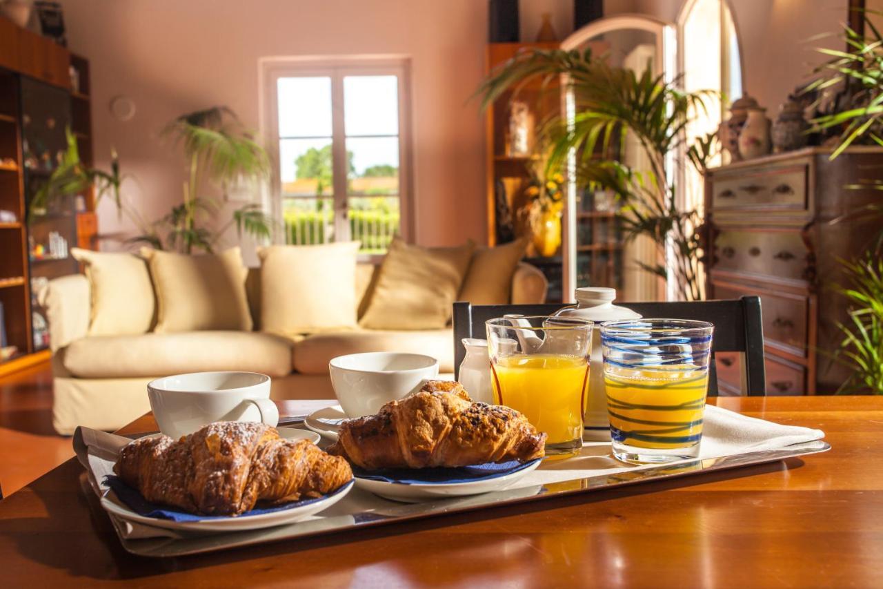 Cascina Canova B&B San Giuliano Terme Kültér fotó