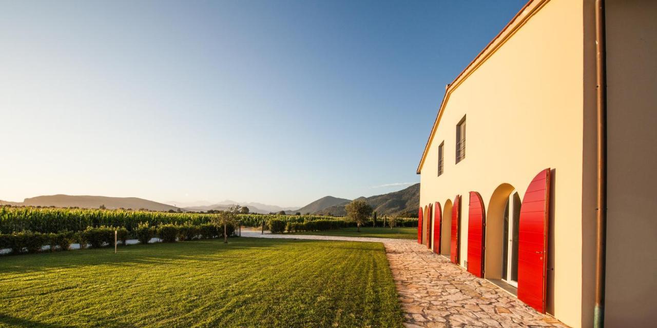 Cascina Canova B&B San Giuliano Terme Kültér fotó