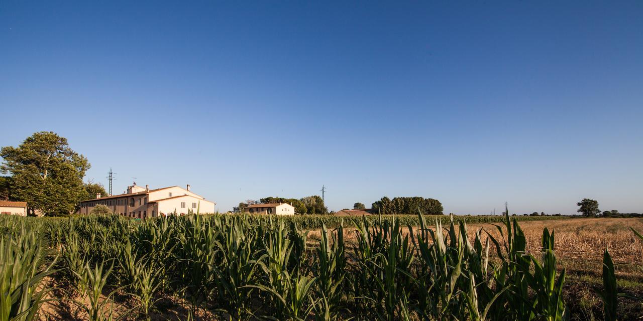 Cascina Canova B&B San Giuliano Terme Kültér fotó