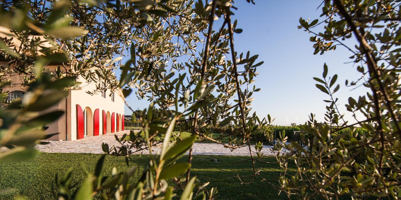 Cascina Canova B&B San Giuliano Terme Kültér fotó